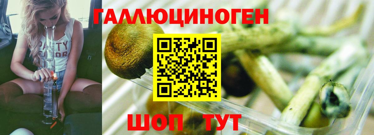 Галлюциногенные грибы мухоморы Касимов