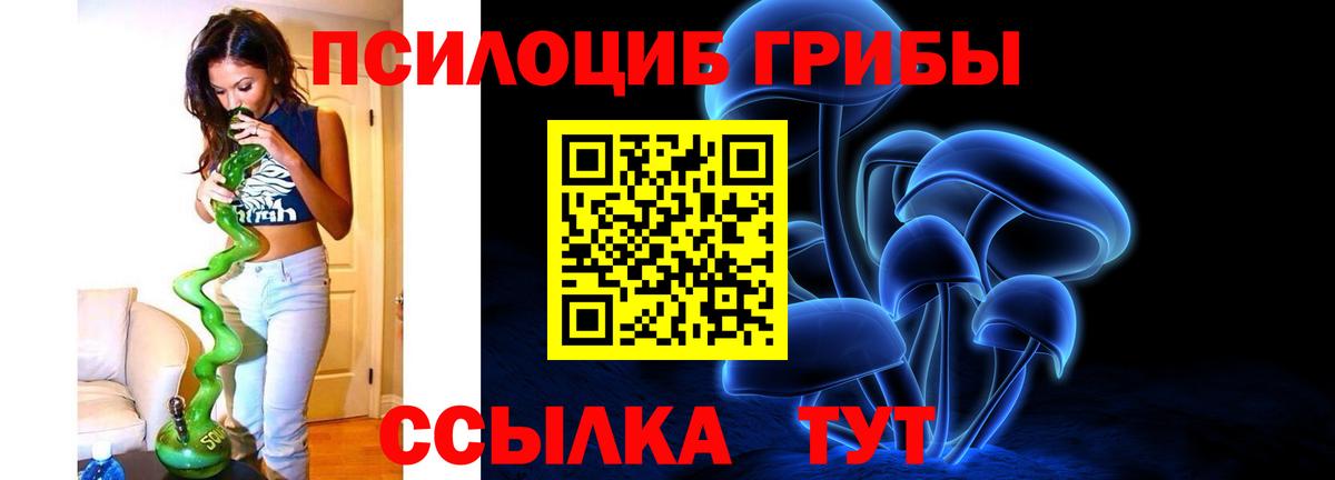 купить наркоту  Галлюциногенные грибы прущие грибы  Вход с VPN  Галлюциногенные грибы Cubensis  Касимов 